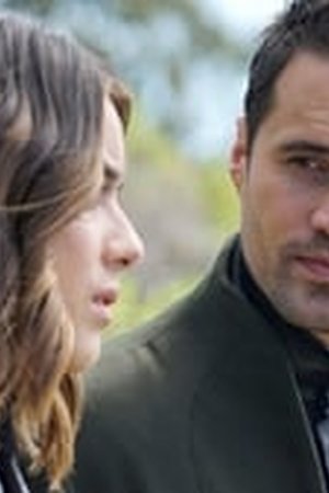 Marvel's Agents of S.H.I.E.L.D. Season 3 Episode 18 - Poster